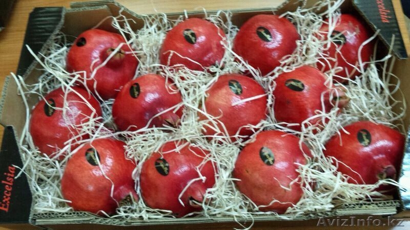 Продаем гранат из Испании - Изображение #2, Объявление #1139588