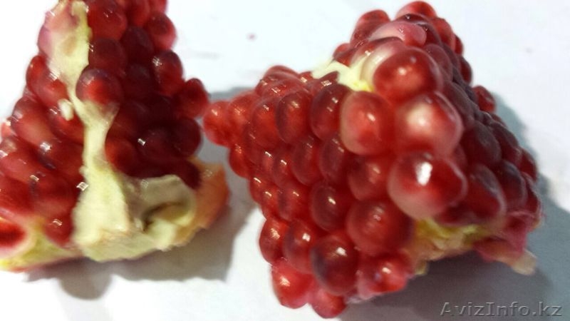 Продаем гранат из Испании - Изображение #3, Объявление #1139588