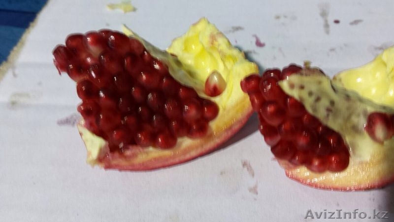 Продаем гранат из Испании - Изображение #4, Объявление #1139588