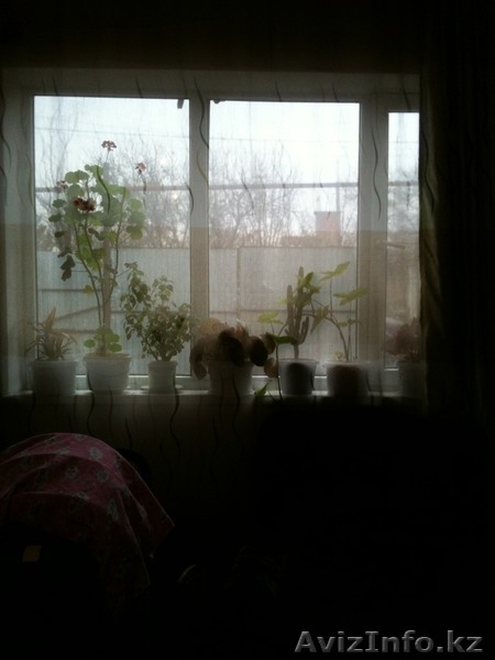 Продам дом в экологически чистом районе - Изображение #1, Объявление #1130796