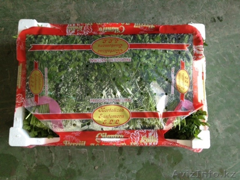 продаю овощи из Испании - Изображение #2, Объявление #1137383