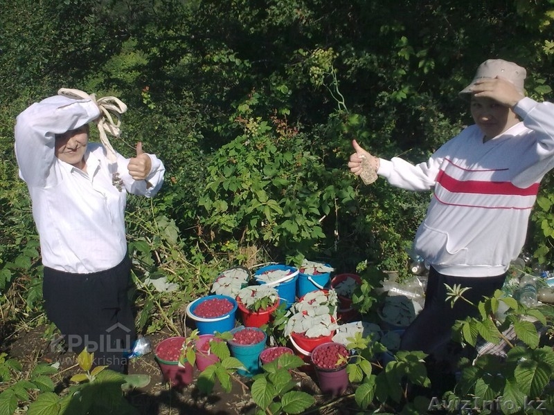 Продам участок 12.75 соток. Каменское плато. 3100$/сотка. СРОЧНО! - Изображение #4, Объявление #1150496