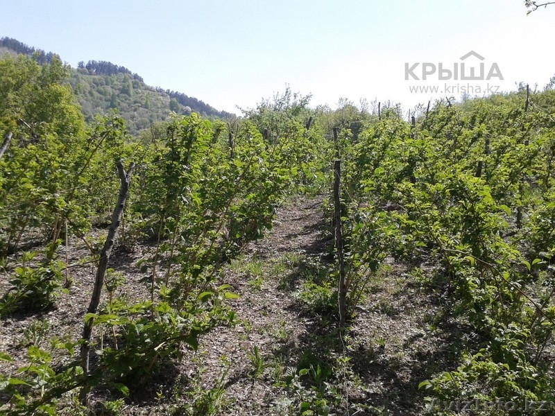 Продам участок 12.75 соток, мкр Каменское плато за 3 100 $ - Изображение #3, Объявление #1153212