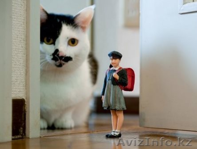 3D Печать, создай себя в 3D миниатюре! Оказываем услуги по 3D! - Изображение #4, Объявление #1151949