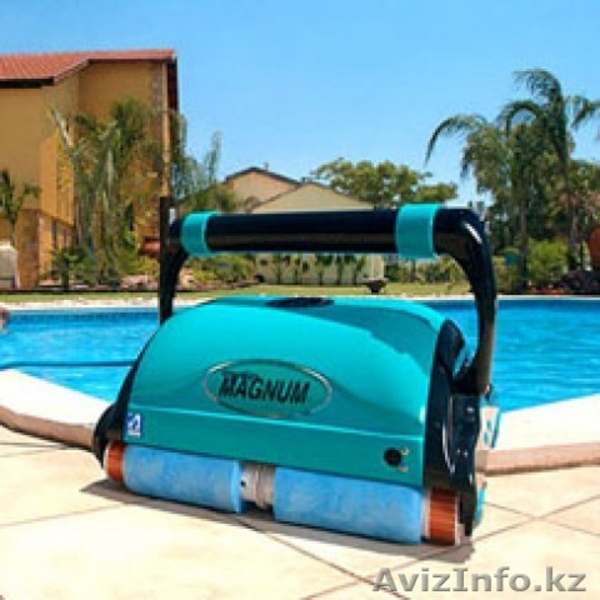 Ремонт робот пылесосов для бассейнов - Изображение #3, Объявление #1150000