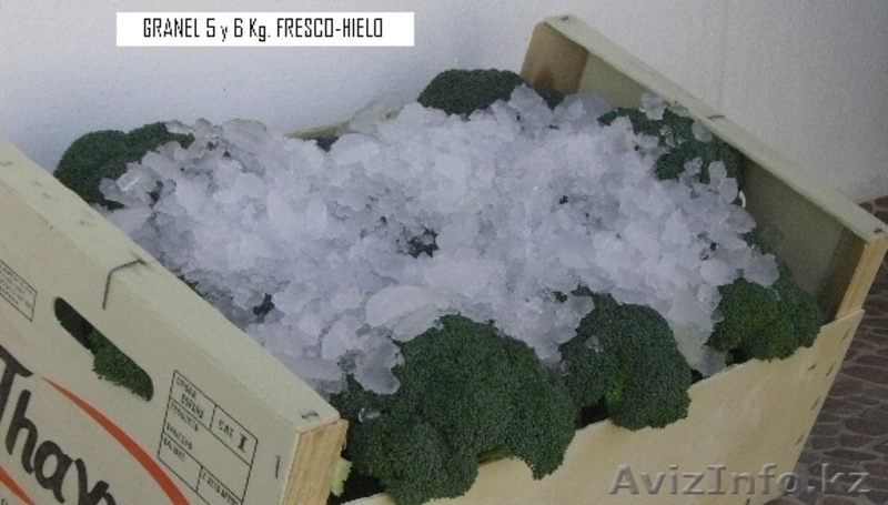 Продаем овощи и фрукты из Испании - Изображение #4, Объявление #1141345