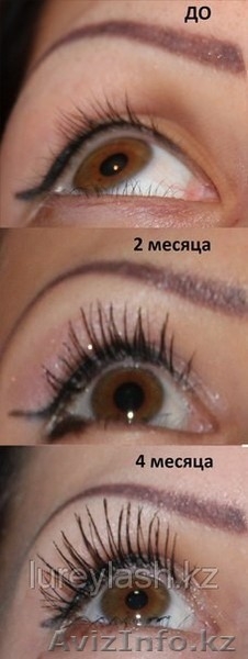 Средство для роста своих ресниц и бровей lurey lash (люрей лаш) - Изображение #7, Объявление #1150992