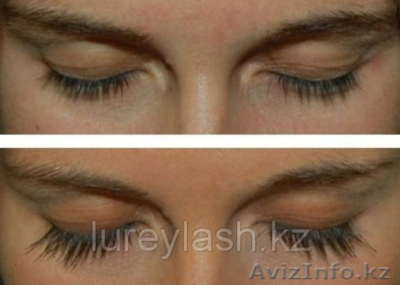 Средство для роста своих ресниц и бровей lurey lash (люрей лаш) - Изображение #5, Объявление #1150992
