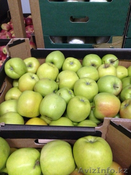 Польские яблоки и овощи - Изображение #3, Объявление #1146606