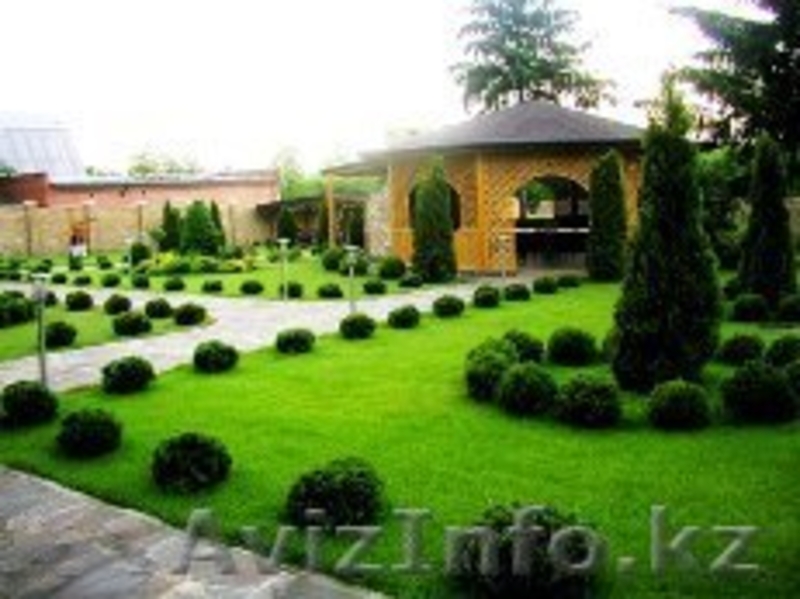 Озеленение. Ландшафтный дизайн - Изображение #3, Объявление #1145732