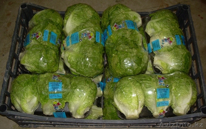 Продаем овощи и фрукты из Испании - Изображение #7, Объявление #1141345