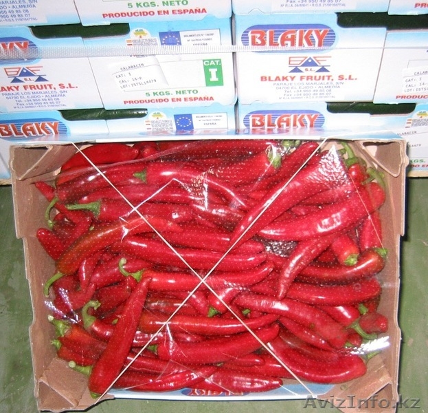 Продаем овощи и фрукты из Испании - Изображение #9, Объявление #1141345