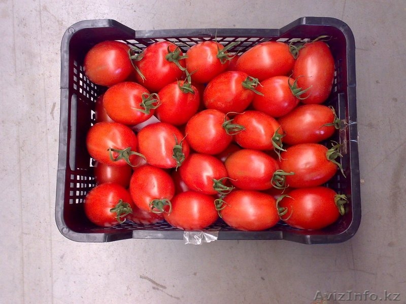 Продаем овощи и фрукты из Испании - Изображение #10, Объявление #1141345