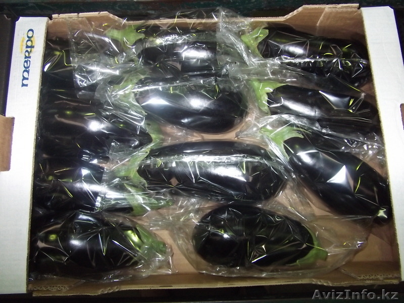 продаем баклажан - Изображение #2, Объявление #1168649