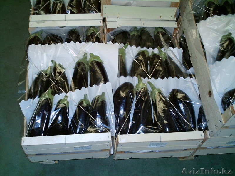 продаем баклажан - Изображение #1, Объявление #1168649