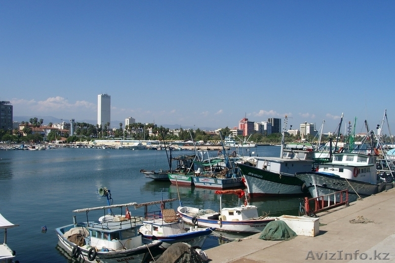 Выгодное предложение!!! Недвижимость в Турций!! - Изображение #12, Объявление #1154503