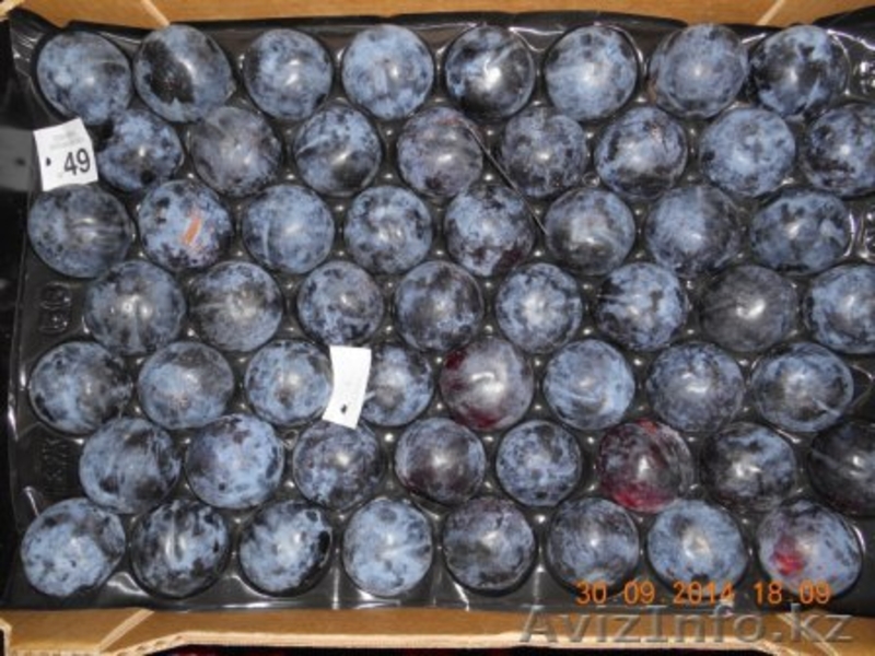 яблоки и др. фрукты из европы - Изображение #6, Объявление #1156952