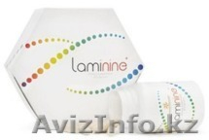Ламинин и омега  от сердца и давления - Изображение #1, Объявление #1169386