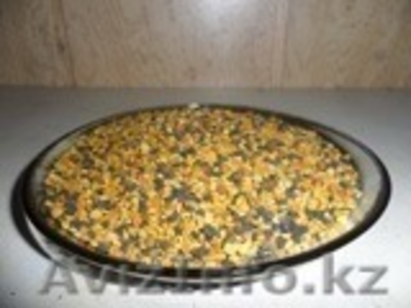 Сотовый мед , перга, пыльца по оптовым ценам  - Изображение #3, Объявление #1157842