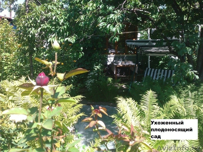 Срочно Продам 5-комнатный Дом (Хозяин), Реальному Покупателю - Реальный Торг! - Изображение #10, Объявление #1165062