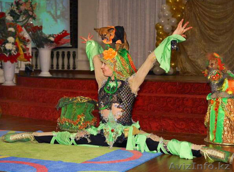 Дрессированные собачки! - Изображение #3, Объявление #1176404