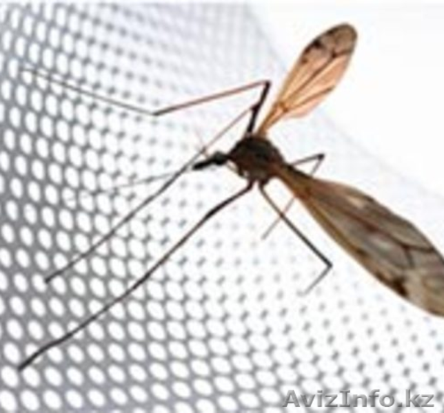 Жалюзи, ролл-шторы на заказ - Изображение #3, Объявление #1176611