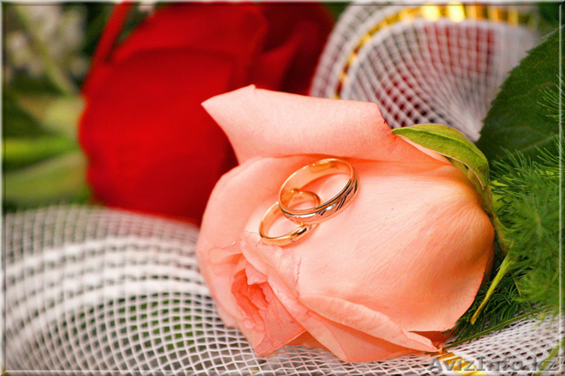 Обручальные кольца - Изображение #3, Объявление #1174590