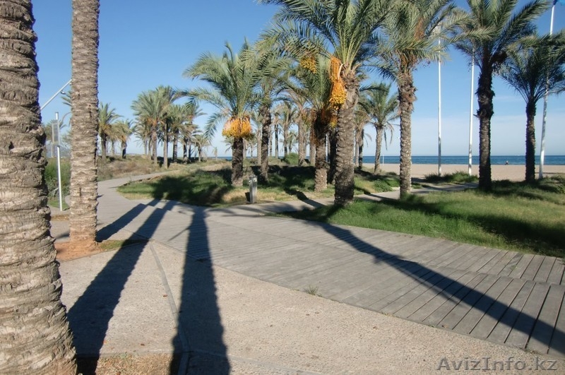 квартира/duplex в Испании,курорт Castellon,Valencia - Изображение #3, Объявление #1172749