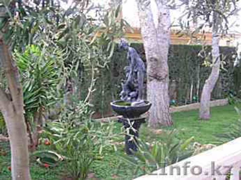  шале в Испании,Montserrat, Valencia, costa Blanca. - Изображение #3, Объявление #1172830