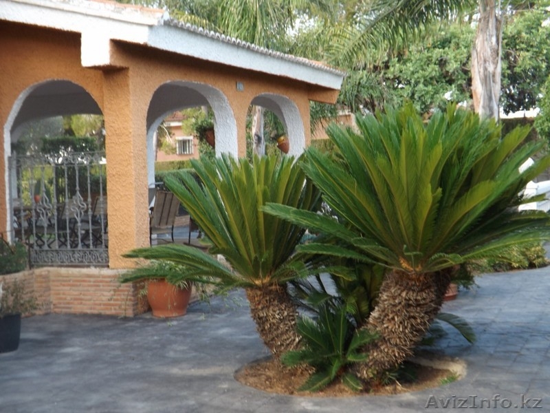  шале в Испании,Montserrat, Valencia, costa Blanca. - Изображение #6, Объявление #1172830