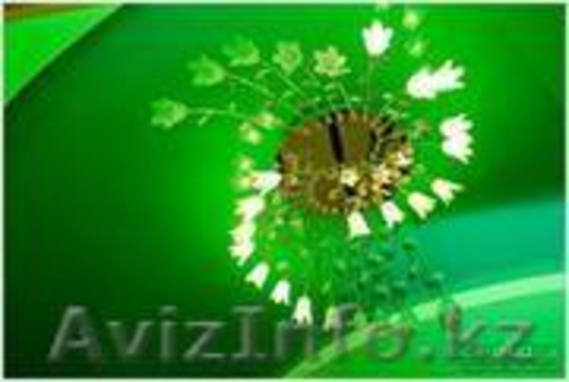 Услуги электрика в Алматы. Электромонтаж в Алматы. - Изображение #4, Объявление #1171274