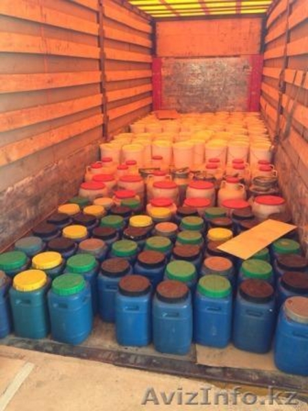  Алтайский Мёд. - Изображение #2, Объявление #1173081