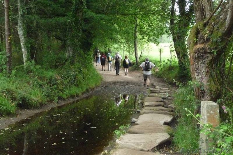 поместье в Испании,Lugo,Sarria, Galicia. - Изображение #3, Объявление #1172244