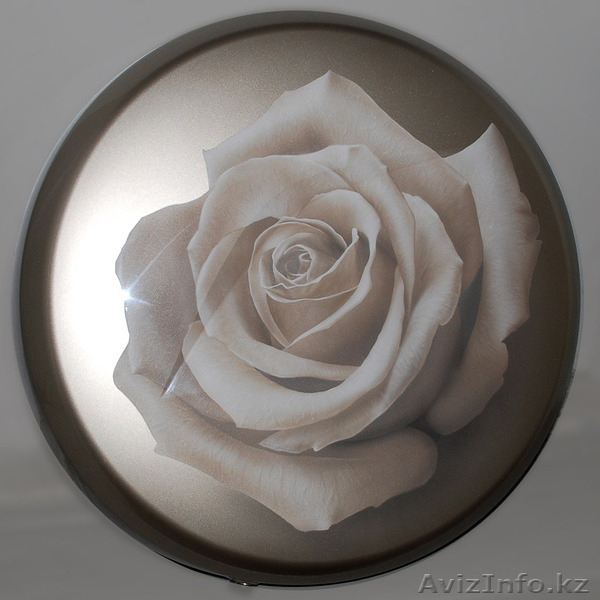 Продажа пластиковых колпаков для запасного колеса - Изображение #3, Объявление #1180826