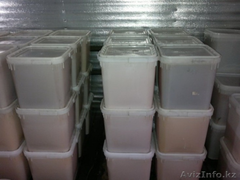  Алтайский Мёд. - Изображение #4, Объявление #1173081