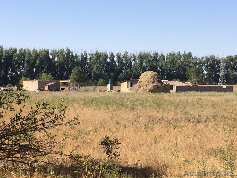 Земельный участок в п.Турар - Изображение #5, Объявление #980011