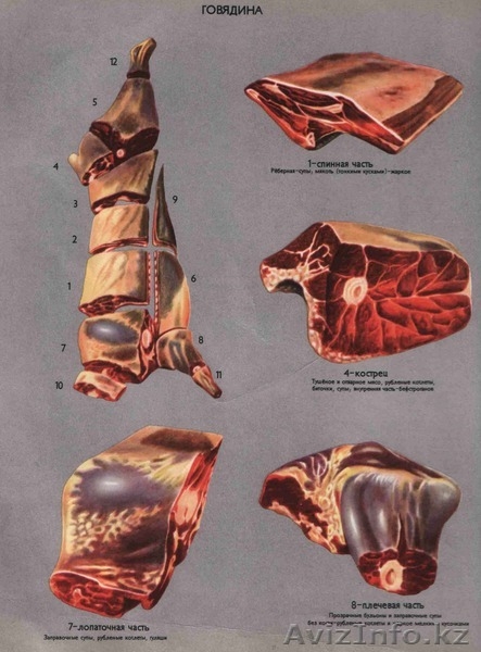 Продам говядину и конину на согым - Изображение #5, Объявление #1185446
