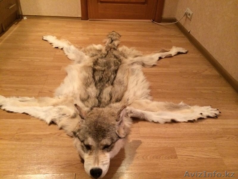 Шкура волка с головой - Изображение #3, Объявление #1197395