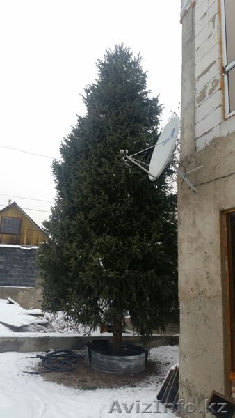 Продам дом, тау-самалы остановка Айболит - Изображение #6, Объявление #1183470