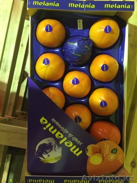 Продаем хурму из Испании - Изображение #6, Объявление #1190235