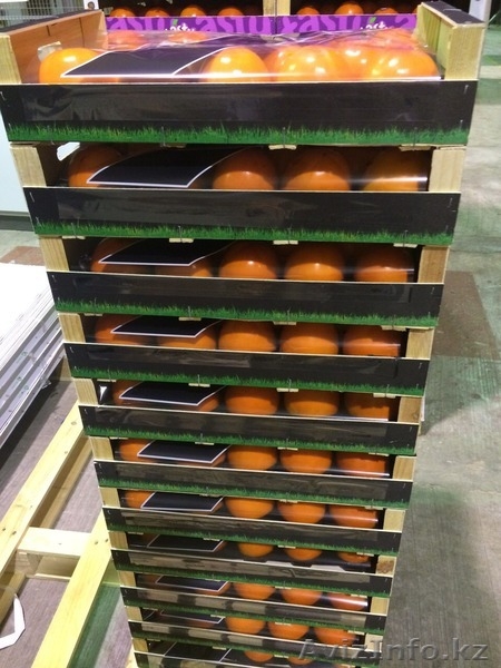 Продаем хурму из Испании - Изображение #8, Объявление #1190235