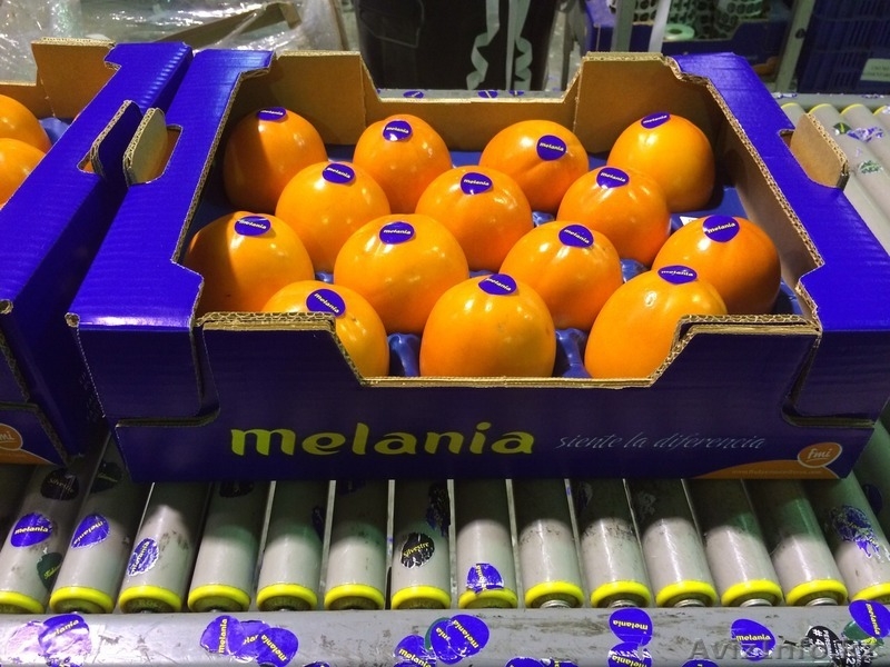 Продаем хурму из Испании - Изображение #9, Объявление #1190235