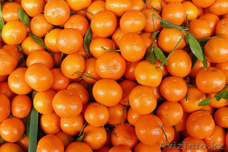 Оптовые поставки фруктов по СНГ - Изображение #6, Объявление #1191183