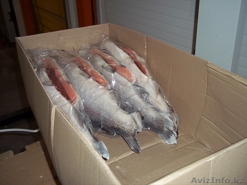 Свежемороженая семга (Норвегия, 6-7кг) - Изображение #2, Объявление #1196360