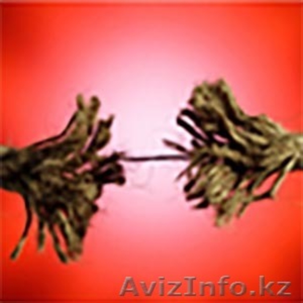 Стресс - стрессоустойчивость - Изображение #3, Объявление #1199240