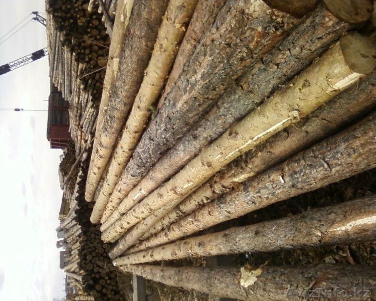 опоры деревянные - Изображение #3, Объявление #1210050