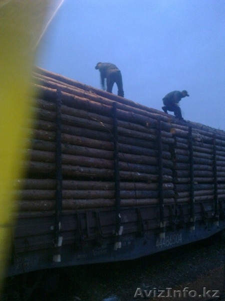 опоры деревянные - Изображение #4, Объявление #1210050