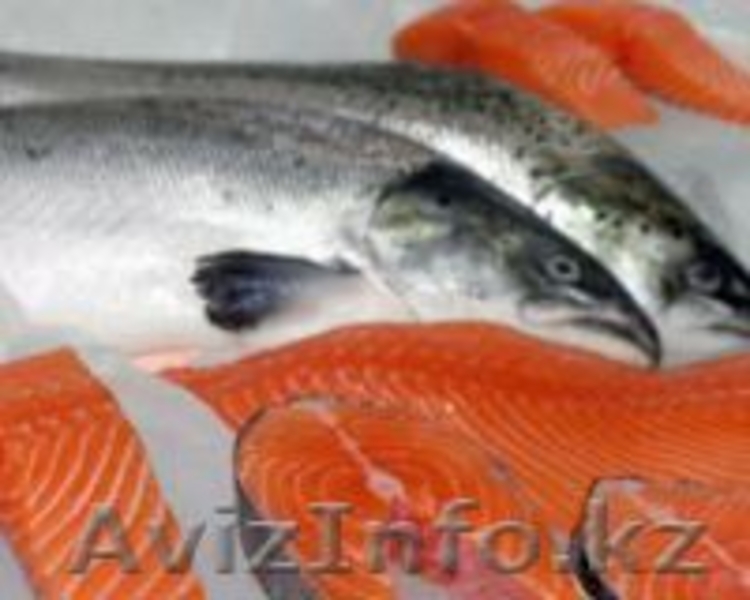 Красная рыба (семга,горбуша,кета)1100 - Изображение #2, Объявление #1199004