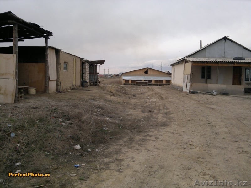 Участок 15 га, р-н Дмитриевских дач - Изображение #8, Объявление #1222076