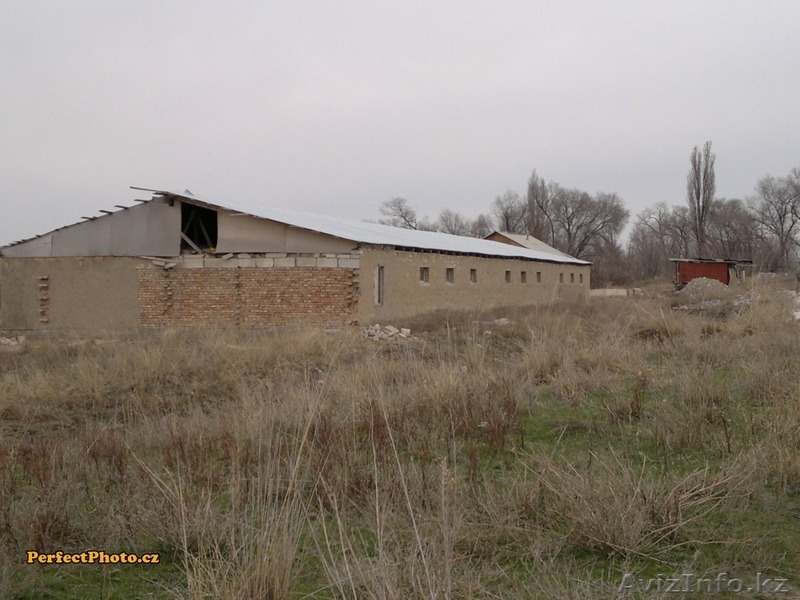 Участок 15 га, р-н Дмитриевских дач - Изображение #7, Объявление #1222076